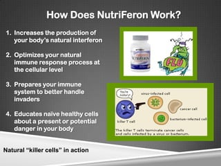 How Does NutriFeron Work?
1. Increases the production of
   your body’s natural interferon

2. Optimizes your natural
   immune response process at
   the cellular level

3. Prepares your immune
   system to better handle
   invaders

4. Educates naïve healthy cells
   about a present or potential
   danger in your body


Natural “killer cells” in action
 
