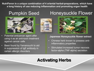NutriFeron is a unique combination of 4 oriental herbal-preparations, which have
    a long history of use reducing inflammation and promoting organ health


       Pumpkin Seed                       Honeysuckle Flower



• Potential anticancer agent after        Japanese Honeysuckle flower extract
  using it as an anti-toxin treatment
  against cancer cells                   • Chinese herb known to possess anti-
                                           inflammatory properties
• Been found by Yamanouchi to aid
  in suppression of IgE antibody in      • Stimulated increased tumor necrosis
  certain allergic disorders               factor-alpha (TNF-alpha) secretion



                                   Activating Herbs
 