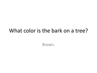 What color is the bark on a tree?
Brown.
 