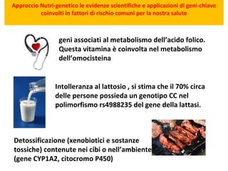 geni associati al metabolismo dell’acido folico. Questa vitamina è coinvolta nel metabolismo dell’omocisteina  Approccio Nutri-genetico le evidenze scientifiche e applicazioni di geni-chiave coinvolti in fattori di rischio comuni per la nostra salute Intolleranza al lattosio , si stima che il 70% circa delle persone possieda un genotipo CC nel polimorfismo rs4988235 del gene della lattasi.  Detossificazione (xenobiotici e sostanze tossiche) contenute nei cibi o nell’ambiente (gene CYP1A2, citocromo P450) 