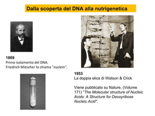 1869 Primo isolamento del DNA.  Friedrich Miescher lo chiama " nuclein" . 1953 La doppia elica di Watson & Crick Viene pubblicato su Nature, (Volume 171) " The Molecular structure of Nucleic Acids: A Structure for Deoxyribose Nucleic Acid".  Dalla scoperta del DNA alla nutrigenetica 