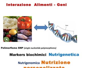 Polimorfismo SNP  ( single nucleotide polymorphisms) Markers biochimici  Nutrigenetica Nutrigenomica   Nutrizione personalizzata Interazione  Alimenti - Geni 