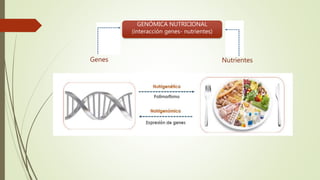 Nutrientes
GENÓMICA NUTRICIONAL
(interacción genes- nutrientes)
Genes
 