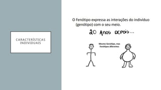 CARACTERÍSTICAS
INDIVIDUAIS
 