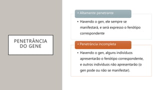 PENETRÂNCIA
DO GENE
• Havendo o gen, ele sempre se
manifestará, e será expresso o fenótipo
correspondente
• Altamente penetrante
• Havendo o gen, alguns indivíduos
apresentarão o fenótipo correspondente,
e outros indivíduos não apresentarão (o
gen pode ou não se manifestar).
• Penetrância incompleta
 