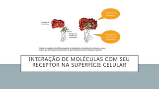INTERAÇÃO DE MOLÉCULAS COM SEU
RECEPTOR NA SUPERFÍCIE CELULAR
 