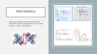 PROTEÔMICA
• Estuda as variações e compara os perfis de
expressão proteica, relacionando-os com efeitos
causais – 1 gene  10 proteínas
 
