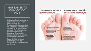 MAPEAMENTO
CLÍNICO DO
DNA
• Utilizado globalmente para
determinar se um recém
nascido sofre de
fenilcetonúria dano cerebral
caso não seja adotada uma
dieta especial. Mutação no
gene da PAH (fenilalanina
hidroxilase) envolve
formação de amiloides
tóxicos no cérebro (similar a
Alzheimer e Parkinson).
• Teste da PKU (teste do
pezinho) é parte da
confirmação do diagnóstico
da doença.
 