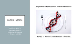 NUTRIGENÉTICA
Estudo do efeito da
variação genética
individual na resposta
a dieta e a nutrição.
 