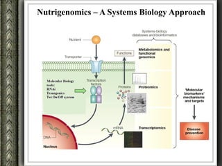 Nutrigenomics – A Systems Biology Approach
 