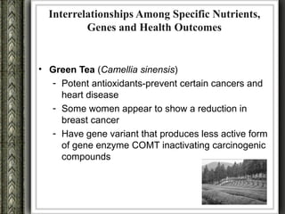 Interrelationships Among Specific Nutrients,
          Genes and Health Outcomes


• Green Tea (Camellia sinensis)
  - Potent antioxidants-prevent certain cancers and
    heart disease
  - Some women appear to show a reduction in
    breast cancer
  - Have gene variant that produces less active form
    of gene enzyme COMT inactivating carcinogenic
    compounds
 
