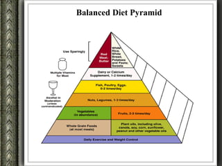 Balanced Diet Pyramid
 