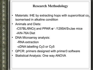 Research Methodology

• Materials: IHE by extracting hops with supercritical co2;
  isomerised in alkaline condition
• Animals and Diets:
   -C57BL/6NCrj and PPAR α-/- /129S4/SvJae mice
   -AIN-76A Diet
• DNA Microarray analysis:
    -RNA extraction
    -cDNA labelling Cy3 or Cy5
• QPCR: primers designed with primer3 software
• Statistical Analysis: One way ANOVA
 