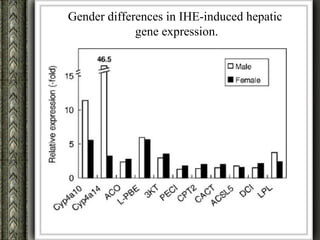 Gender differences in IHE-induced hepatic
             gene expression.
 