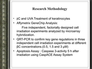 Research Methodology

• βC and UVA Treatment of keratinocytes
• Affymetrix GeneChip Analysis:
      Five independent, factorially designed cell
  irradiation experiments analyzed by microarray
  hybridization.
• QRT-PCR to confirm key gene regulations in three
  independent cell irradiation experiments at different
  βC concentrations.(0.5, 1.5 and 3 µM)
• Apoptosis Assay : Caspase 3-activity 5 h after
  irradiation using CaspACE Assay System
 
