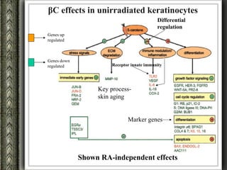 βC effects in unirradiated keratinocytes
                                            Differential
                                            regulation
Genes up
regulated



Genes down
regulated              Receptor innate immunity




                  Key process-
                  skin aging


                              Marker genes




             Shown RA-independent effects
 