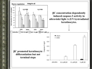 Down regulation




                                βC concentration dependently
                                 induced caspase-3 activity in
                             ultraviolet light A (UVA)-irradiated
                                         keratinocytes.




  βC promoted keratinocyte
   differentiation but not
        terminal steps
 