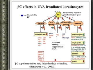 βC effects in UVA-irradiated keratinocytes
                                            Differentially regulated
          Quenched by                       proinflammatory genes
          βC




                                 Enhanced
                                 tanning
                                 supplemented
                                 UVA




βC supplementation may indeed reduce wrinkling.
           (Battistutta et al., 2000)
 