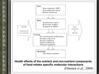 Health effects of the nutrient and non-nutrient components
      of food relates specific molecular interactions
                                     (Ommen et al., 2004)
 