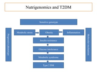 Nutrigenomics and T2DM
Sensitive genotype
Inflammation
Molecularmechanism
Obesity
Insulin resistance
Glucose intolerance
Metabolic syndrome
Type 2 DM
Metabolic stress
Progressivephenotype
 