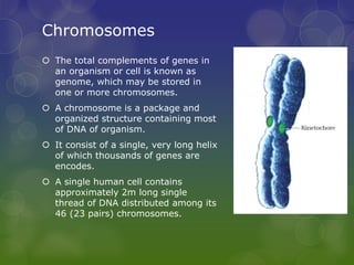 Nutrigenomics | PPTX