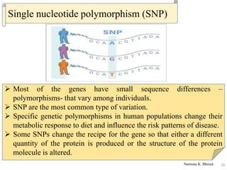 Nutrigenomics | PPTX