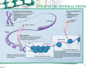 20
EPIGENETIC INTERACTIONS
 