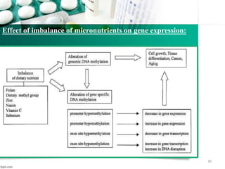 30
Effect of imbalance of micronutrients on gene expression:
 