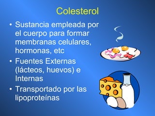 Colesterol Sustancia empleada por el cuerpo para formar membranas celulares, hormonas, etc Fuentes Externas (lácteos, huevos) e Internas Transportado por las lipoproteínas 