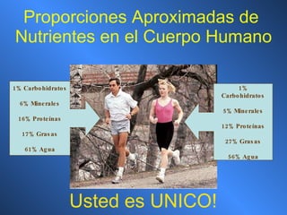 Proporciones Aproximadas de  Nutrientes en el Cuerpo Humano 1% Carbohidratos 6% Minerales 16% Proteínas 17% Grasas 61% Agua 1% Carbohidratos 5% Minerales 12% Proteínas 27% Grasas 56% Agua Usted es UNICO! 