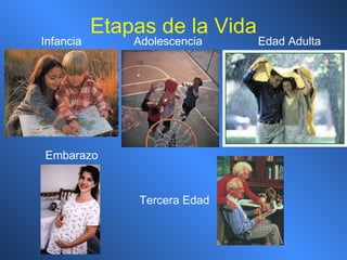 Etapas de la Vida Adolescencia Infancia Embarazo Tercera Edad Edad Adulta 
