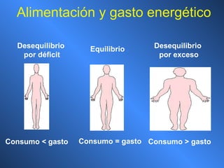 Alimentación y gasto energético Equilibrio Desequilibrio  por déficit Desequilibrio  por exceso Consumo = gasto Consumo < gasto Consumo > gasto 
