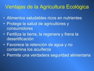 Ventajas de la Agricultura Ecológica Alimentos saludables ricos en nutrientes Protege la salud de agricultores y consumidores Fertiliza la tierra, la regenera y frena la desertificación Favorece la retención de agua y no contamina los acuíferos Permite una verdadera seguridad alimentaria 