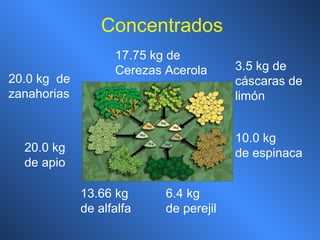 Concentrados 20.0 kg de apio 20.0 kg  de zanahorias 17.75 kg de Cerezas Acerola 3.5 kg de cáscaras de limón 10.0 kg  de espinaca 6.4 kg  de perejil 13.66 kg de alfalfa 