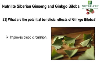 Nutrilite Siberian Ginseng and Ginkgo Biloba 23) What are the potential beneficial effects of Ginkgo Biloba? Improves blood circulation. 