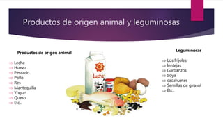 Productos de origen animal y leguminosas
Leguminosas
 Los fríjoles
 lentejas
 Garbanzos
 Soya
 cacahuetes
 Semillas de girasol
 Etc..
Productos de origen animal
 Leche
 Huevo
 Pescado
 Pollo
 Res
 Mantequilla
 Yogurt
 Queso
 Etc..
 