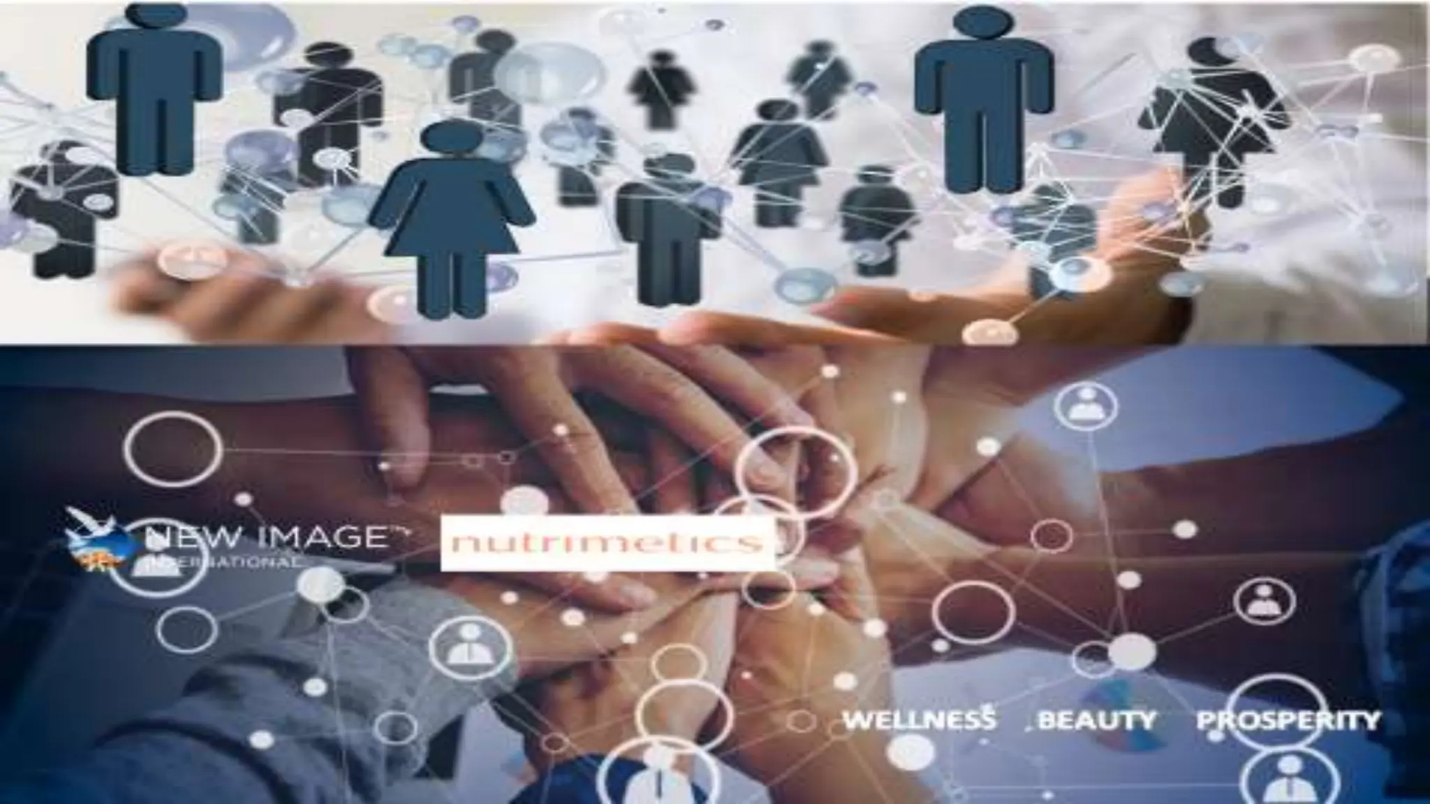 ΚΑΘΟΔΗΓΗΣΗ ΚΑΙ ΣΥΜΒΟΥΛΕΣ ΑΝΑΠΤΥΞΗΣ ΝΕΩΝ ΜΕΛΩΝ NUTRIMETICS.