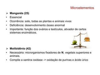 Microelementos 
 Manganês (25) 
• Essencial 
• Ocorrência: solo, todas as plantas e animais vivos 
• Deficiência: desenvolvimento ósseo anormal 
• Importante: função dos ovários e testículos, ativador de certos 
sistemas enzimáticos. 
 Molibidênio (42) 
• Necessário: microrganismos fixadores de N, vegetais superiores e 
animais. 
• Compõe a xantina oxidase -> oxidação de purinas e ácido úrico 
 
