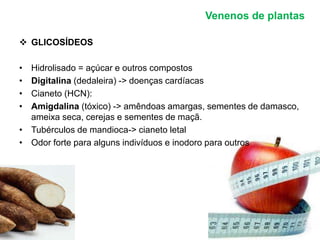 Venenos de plantas 
 GLICOSÍDEOS 
• Hidrolisado = açúcar e outros compostos 
• Digitalina (dedaleira) -> doenças cardíacas 
• Cianeto (HCN): 
• Amigdalina (tóxico) -> amêndoas amargas, sementes de damasco, 
ameixa seca, cerejas e sementes de maçã. 
• Tubérculos de mandioca-> cianeto letal 
• Odor forte para alguns indivíduos e inodoro para outros 
 