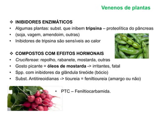 Venenos de plantas 
 INIBIDORES ENZIMÁTICOS 
• Algumas plantas: subst. que inibem tripsina – proteolítica do pâncreas 
• (soja, vagem, amendoim, outras) 
• Inibidores de tripsina são sensíveis ao calor 
 COMPOSTOS COM EFEITOS HORMONAIS 
• Crucifereae: repolho, rabanete, mostarda, outras 
• Gosto picante = óleos de mostarda -> irritantes, fatal 
• Spp. com inibidores da glândula tireóide (bócio) 
• Subst. Antitireoidianas -> tioureia = feniltioureia (amargo ou não) 
• PTC – Feniltiocarbamida. 
 