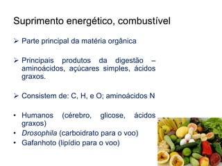 Suprimento energético, combustível 
 Parte principal da matéria orgânica 
 Principais produtos da digestão – 
aminoácidos, açúcares simples, ácidos 
graxos. 
 Consistem de: C, H, e O; aminoácidos N 
• Humanos (cérebro, glicose, ácidos 
graxos) 
• Drosophila (carboidrato para o voo) 
• Gafanhoto (lipídio para o voo) 
 