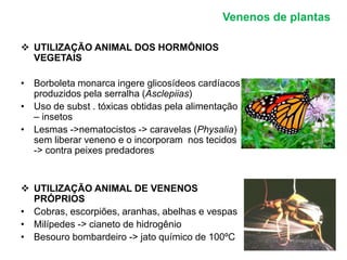 Venenos de plantas 
 UTILIZAÇÃO ANIMAL DOS HORMÔNIOS 
VEGETAIS 
• Borboleta monarca ingere glicosídeos cardíacos 
produzidos pela serralha (Asclepiias) 
• Uso de subst . tóxicas obtidas pela alimentação 
– insetos 
• Lesmas ->nematocistos -> caravelas (Physalia) 
sem liberar veneno e o incorporam nos tecidos 
-> contra peixes predadores 
 UTILIZAÇÃO ANIMAL DE VENENOS 
PRÓPRIOS 
• Cobras, escorpiões, aranhas, abelhas e vespas 
• Milípedes -> cianeto de hidrogênio 
• Besouro bombardeiro -> jato químico de 100ºC 
 