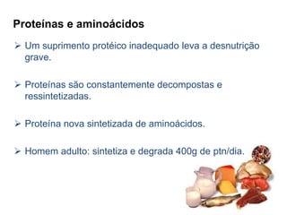 Proteínas e aminoácidos 
 Um suprimento protéico inadequado leva a desnutrição 
grave. 
 Proteínas são constantemente decompostas e 
ressintetizadas. 
 Proteína nova sintetizada de aminoácidos. 
 Homem adulto: sintetiza e degrada 400g de ptn/dia. 
 