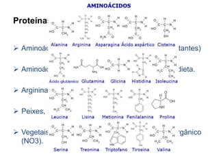Proteínas e aminoácidos 
 Aminoácidos essenciais e não essenciais (importantes) 
 Aminoácidos essenciais devem ser supridos na dieta. 
 Arginina pode ser sintetizada. 
 Peixes, insetos e protozoários – mesmos AA. 
 Vegetais sintetizam ptn a partir do nitrogênio inorgânico 
(NO3). 
 