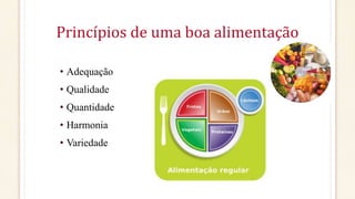Princípios de uma boa alimentação
• Adequação
• Qualidade
• Quantidade
• Harmonia
• Variedade
 