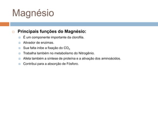 Magnésio
 Principais funções do Magnésio:
 É um componente importante da clorofila.
 Ativador de enzimas.
 Sua falta inibe a fixação do CO2.
 Trabalha também no metabolismo do Nitrogênio.
 Afeta também a síntese de proteína e a ativação dos aminoácidos.
 Contribui para a absorção de Fósforo.
 