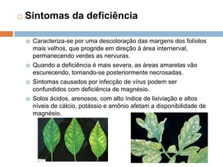  Sintomas da deficiência
 Caracteriza-se por uma descoloração das margens dos folíolos
mais velhos, que progride em direção à área internerval,
permanecendo verdes as nervuras.
 Quando a deficiência é mais severa, as áreas amarelas vão
escurecendo, tornando-se posteriormente necrosadas.
 Sintomas causados por infecção de vírus podem ser
confundidos com deficiência de magnésio.
 Solos ácidos, arenosos, com alto índice de lixiviação e altos
níveis de cálcio, potássio e amônio afetam a disponibilidade de
magnésio.
 