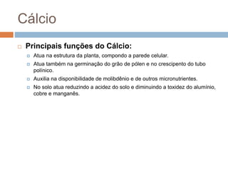 Cálcio
 Principais funções do Cálcio:
 Atua na estrutura da planta, compondo a parede celular.
 Atua também na germinação do grão de pólen e no crescipento do tubo
polínico.
 Auxilia na disponibilidade de molibdênio e de outros micronutrientes.
 No solo atua reduzindo a acidez do solo e diminuindo a toxidez do alumínio,
cobre e manganês.
 