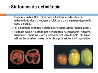  Sintomas da deficiência
 Deficiência de cálcio inicia com a flacidez dos tecidos da
extremidade dos frutos, que evolui para uma necrose deprimida,
seca e negra.
 O sintoma é conhecido como podridão estilar ou "fundo-preto".
 Falta de cálcio é gerada por altos teores de nitrogênio, enxofre,
magnésio, potássio, cloro e sódio na solução do solo, pH baixo,
utilização de altas doses de adubos potássicos e nitrogenados.
 