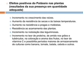  Efeitos positivos do Potássio nas plantas
(resultados da sua presença em quantidade
adequada)
 Incremento no crescimento das raízes.
 Aumento da resistência às secas e às baixas temperaturas.
 Aumento na resistência a pragas e moléstias.
 Resistência ao acamamento das plantas.
 Incremento na nodulação das leguminosas.
 Incremento no teor de proteína, de amido nos grãos e
tubérculos, na coloração e aroma dos frutos, no teor de
vitamina C e possibilita períodos maiores de armazenamento
de culturas como banana, tomate, batata, cebola e outros.
 
